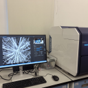 桌面式扫描电子显微镜-1